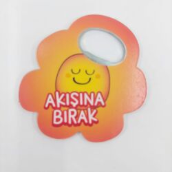 AKIŞINA BIRAK-METAL AÇACAK MAGNET - TEKLİ - 1