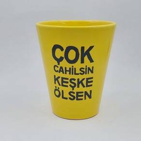 ÇOK CAHİLSİN KEŞKE ÖLSEN-SAKSI - SARI GÖVDE - 1